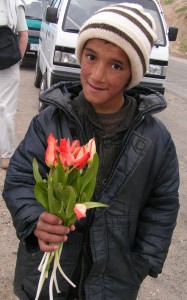 petit vendeur de tulipes sauvages